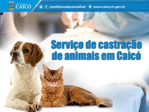 301d6ca9-d677-4e4a-82b7-361c959379c4