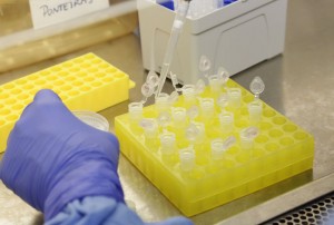 d735829f0c9a6602a8e3c1ffc2eeb3d4