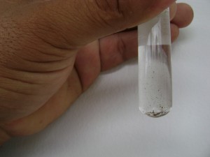 acoes-contra-a-dengue-3-