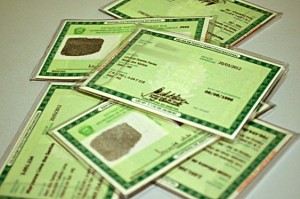 CARTEIRA DE IDENTIDADE