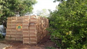 whatsapp-image-2020-06-12-at-01.24.41