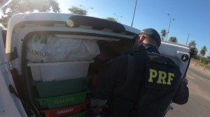 20200707-Camar&atilde;o-800x445