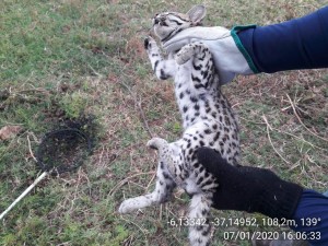 59f4332a-51b2-4771-a5cc-a347952ccfbe