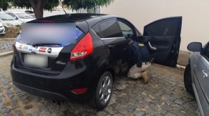 RN-20200725-Ve&iacute;culo-recuperado-Serra-Caiada-800x445