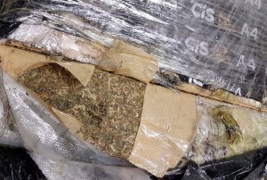 maconha-mala