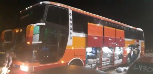 onibus