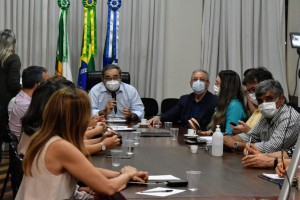 Reunião Comitê Científico_JOANA_LIMA (3)